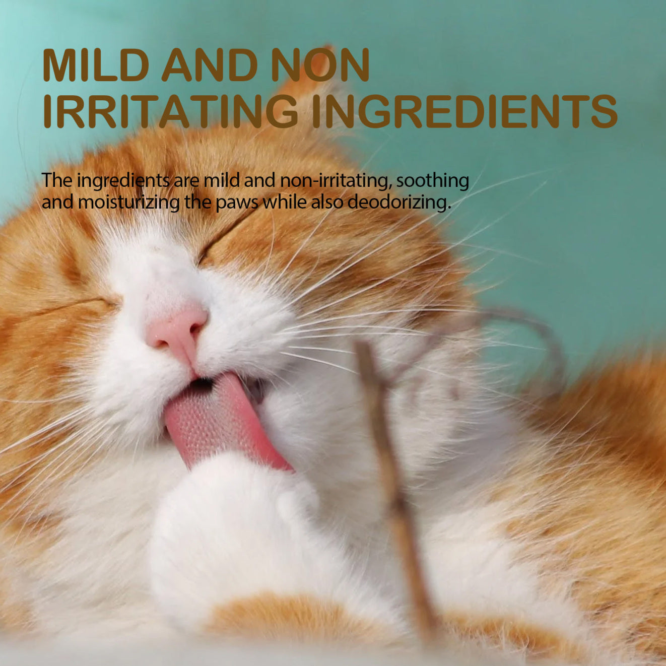 Yegbong Pet Avocado Foot Balm Pet Cat & Dog Foot Cleansing Care, Moisturizing And Crack-proof Care